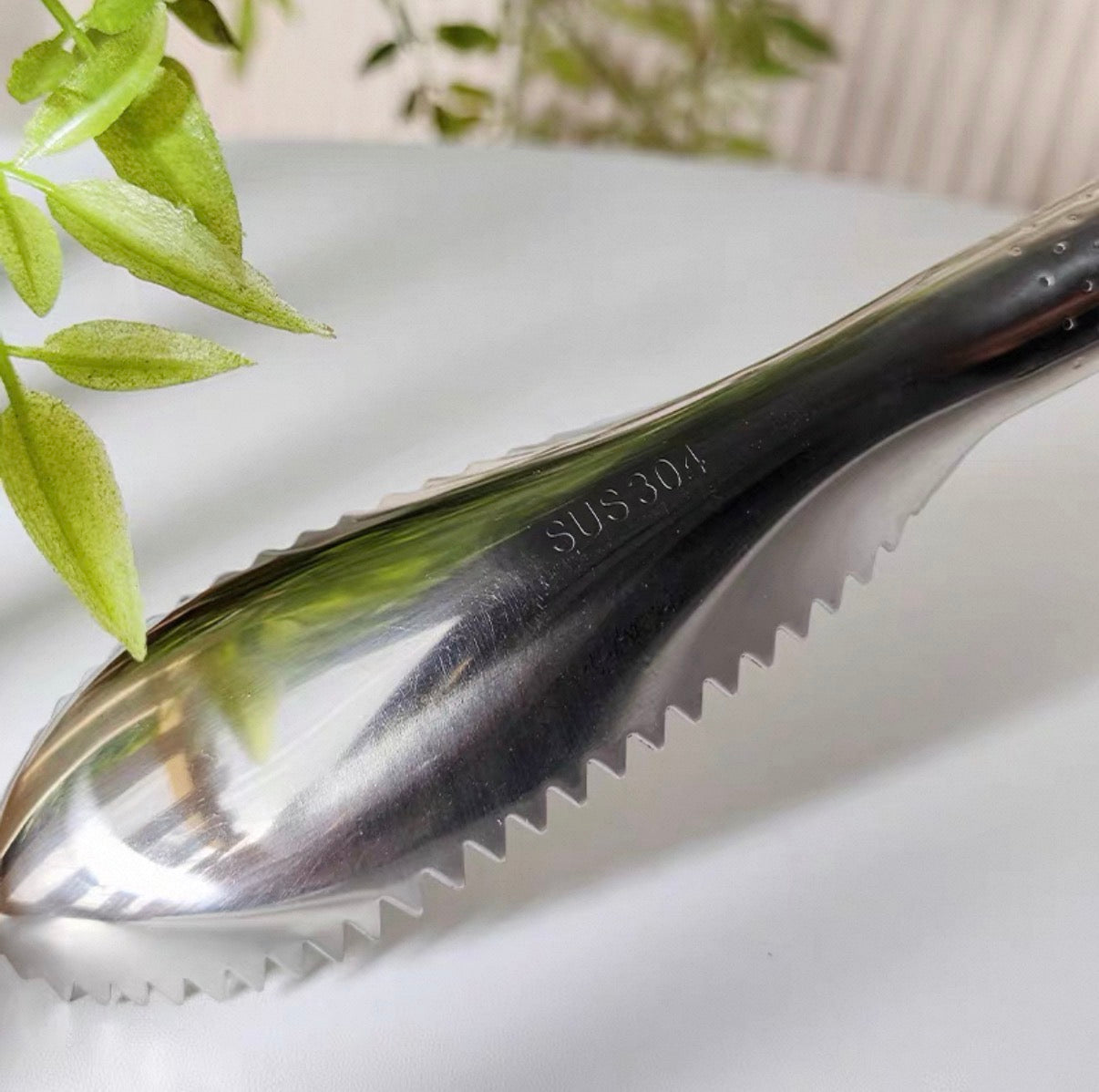 304 Stainless Steel Fish Scaler – Fish Scale Remover Tool (1/2/3 Packs)