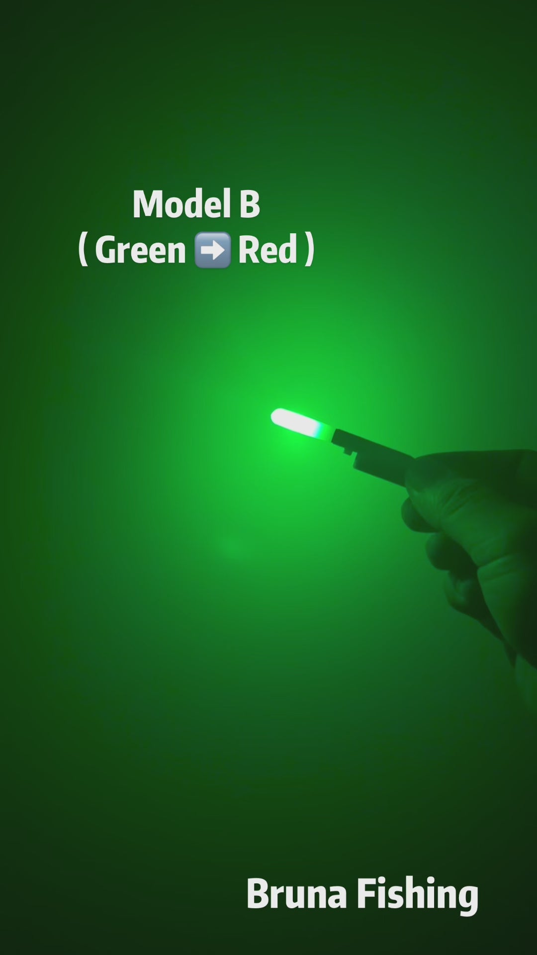 BRUNA Night Fishing LED Tip Light With Battaries Set